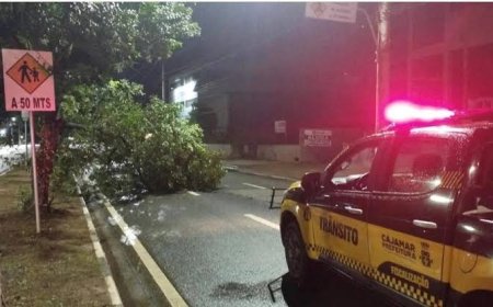 Temporal provoca caos em Cajamar com quedas de árvores, destelhamentos e falta de energia