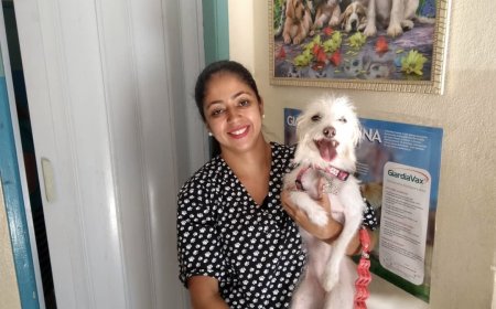 Veterinária alerta tutores sobre os riscos da água de torneira para pets após polêmica de odor na água em Cajamar