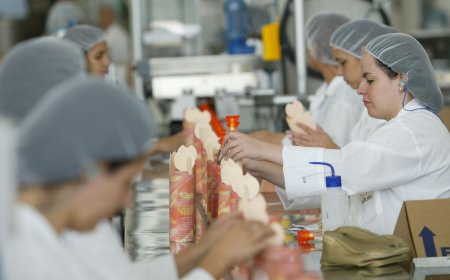 Cajamar encerra 2024 com aumento nas exportações e importações, refletindo crescimento no comércio internacional