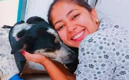 Médica veterinária explica cuidados essenciais para os pets no verão