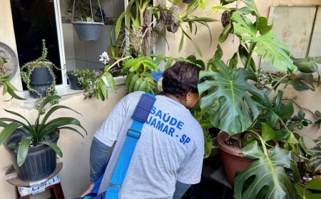 Cajamar confirma primeiro caso de dengue em 2025 e investiga outros dois; cidade reforça ações de prevenção
