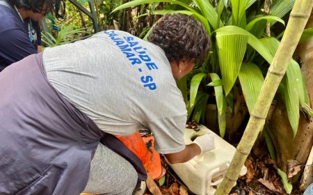 Combate à Dengue: Proprietários de terrenos baldios são notificados pela Prefeitura