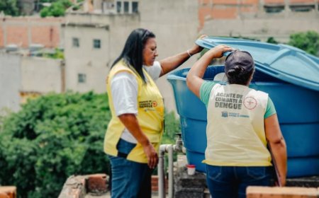Santana de Parnaíba registra 16 casos prováveis de dengue e três confirmados em 2025