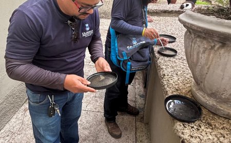 Cajamar confirma 11 casos de dengue e outros cinco casos estão em investigação