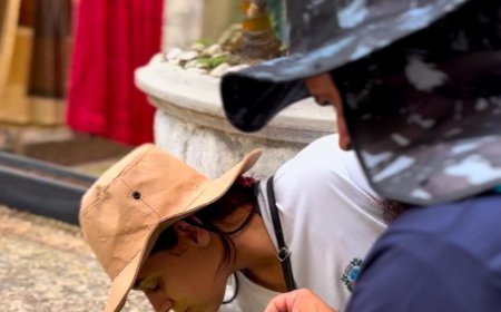 Cajamar Registra 14 Casos Confirmados de Dengue e Investiga 5