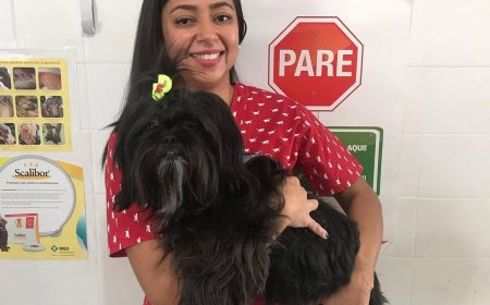 TERRITÓRIO ANIMAL: Médica veterinária dá dicas de como proteger seu pet do calor intenso