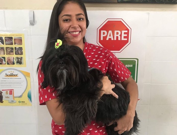 TERRITÓRIO ANIMAL: Médica veterinária dá dicas de como proteger seu pet do calor intenso