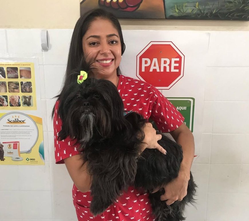 TERRITÓRIO ANIMAL: Médica veterinária dá dicas de como proteger seu pet do calor intenso