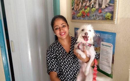 Território Animal: cuidados essenciais para pets no outono, com a médica veterinária dra. Carolina Fernandes Souza