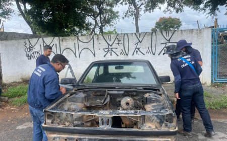 Casos de dengue em Cajamar chegam a 27; região soma mais de 900 confirmações