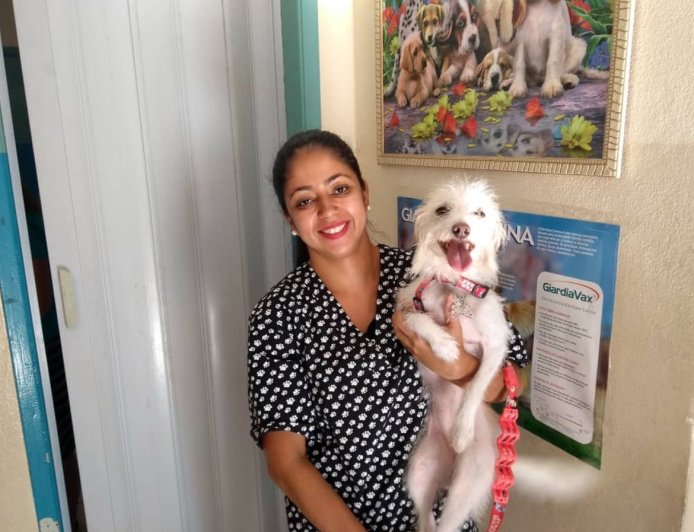 Território Animal: cuidados essenciais para pets no outono, com a médica veterinária dra. Carolina Fernandes Souza