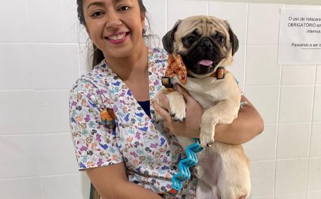 Território Animal: Dra. Carolina destaca a castração como instrumento de saúde e bem‑estar