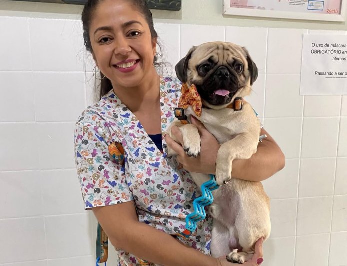 Território Animal: Dra. Carolina destaca a castração como instrumento de saúde e bem‑estar