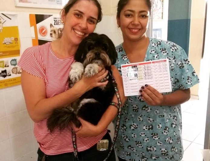 TERRITÓRIO ANINAL: Vacinação em dia garante saúde e proteção para cães e gatos, alerta veterinária