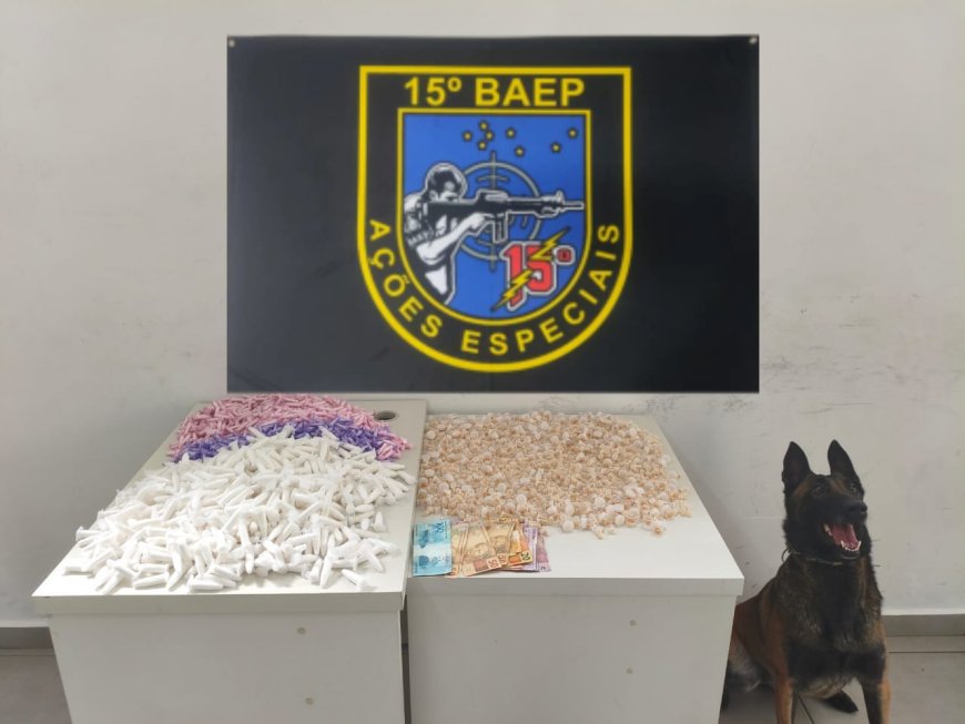 Polícia Militar realiza grande apreensão de drogas durante operação na Vila União