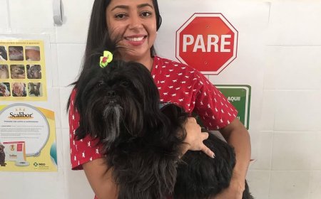 Tosse de cachorro: entenda a gripe canina e como proteger seu pet