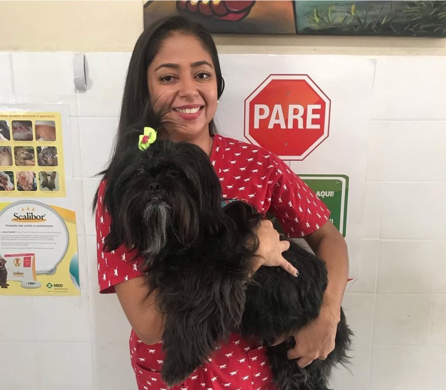 Tosse de cachorro: entenda a gripe canina e como proteger seu pet