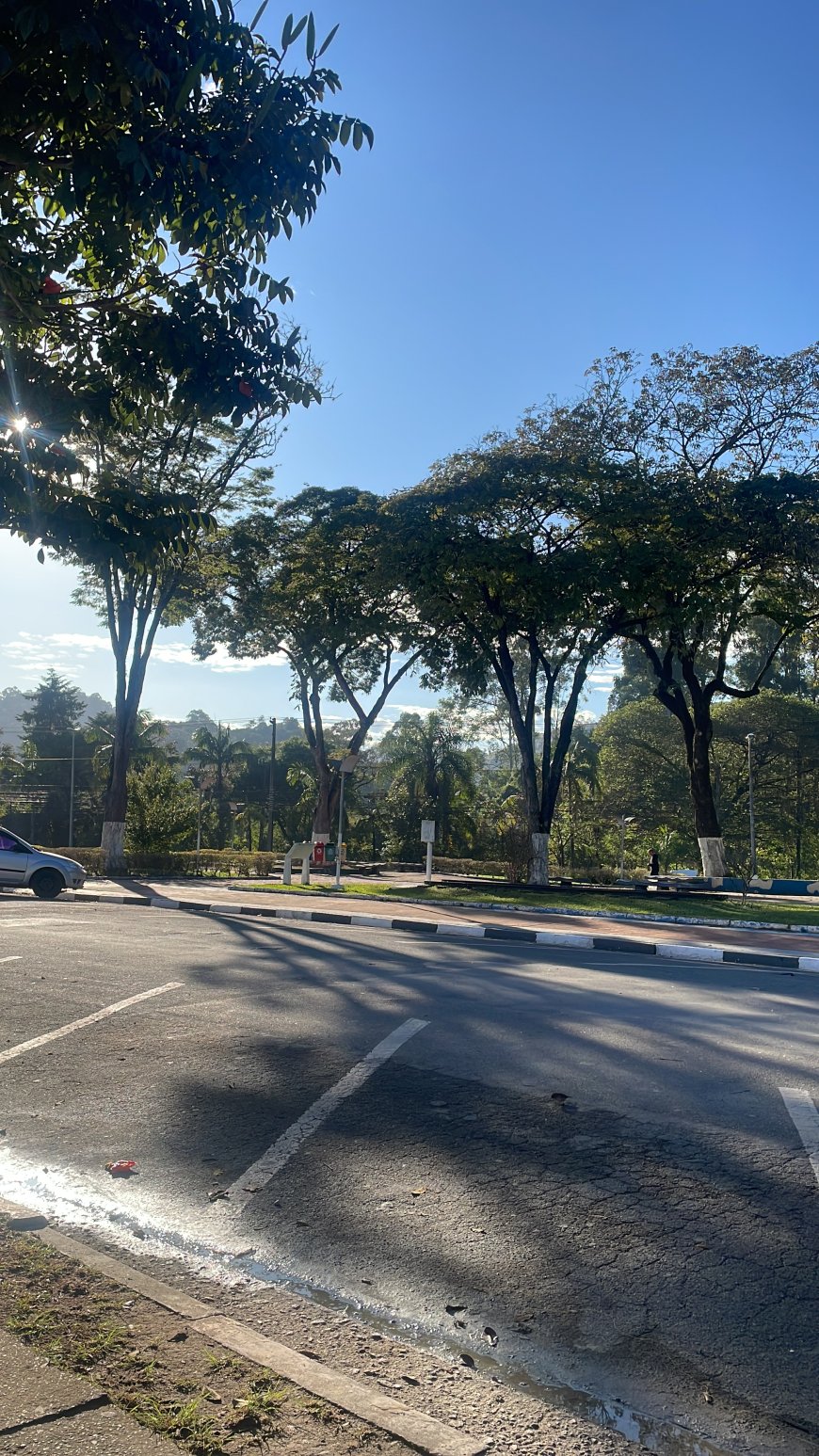 Sexta-feira terá sol entre nuvens e clima seco no último dia de outono