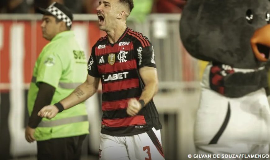 Flamengo vence o Galo e é o novo líder do Campeonato Brasileiro