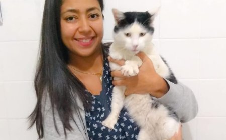 Dia do Médico Veterinário: dedicação e cuidado que transformam vidas