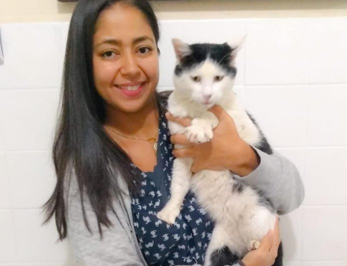 Dia do Médico Veterinário: dedicação e cuidado que transformam vidas