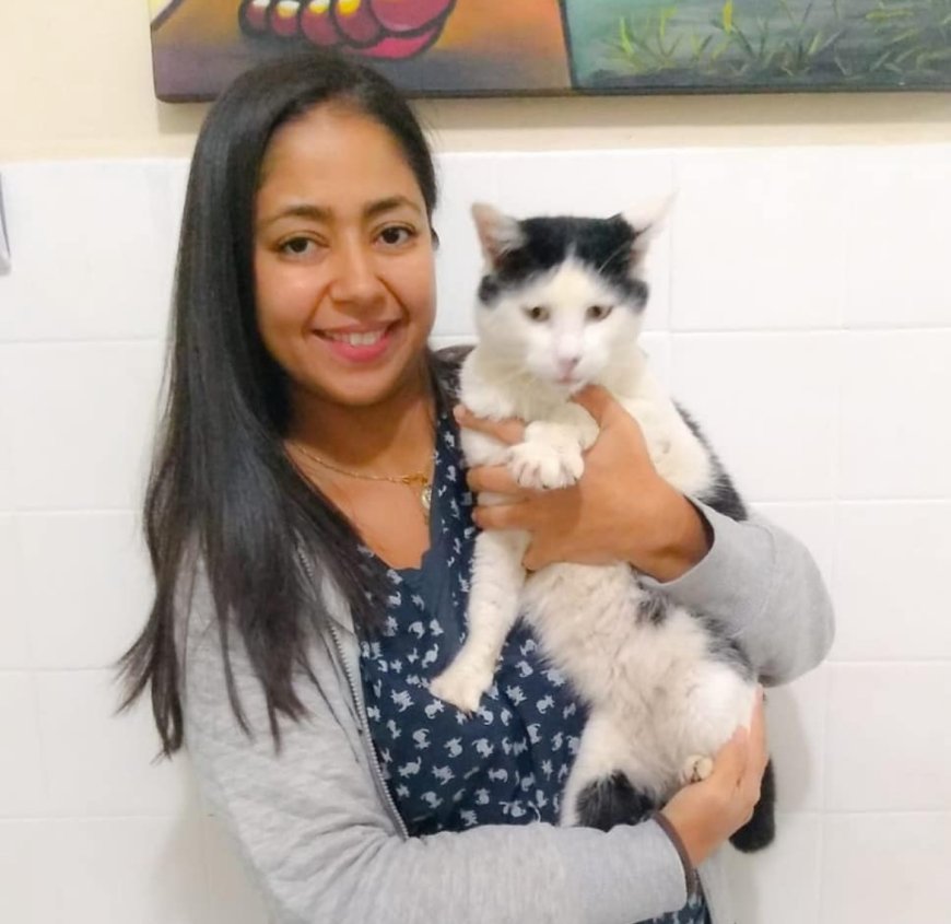 Dia do Médico Veterinário: dedicação e cuidado que transformam vidas
