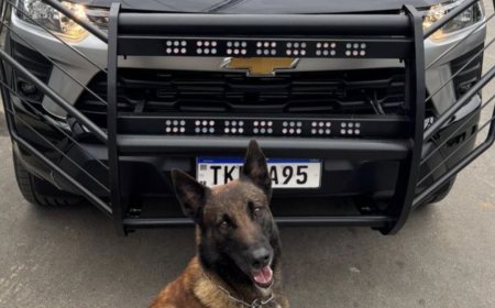 Queda nos roubos e aumento de prisões marcam a segurança em Cajamar em 2025