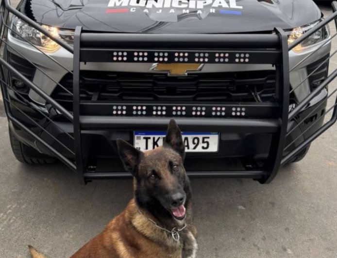 Queda nos roubos e aumento de prisões marcam a segurança em Cajamar em 2025