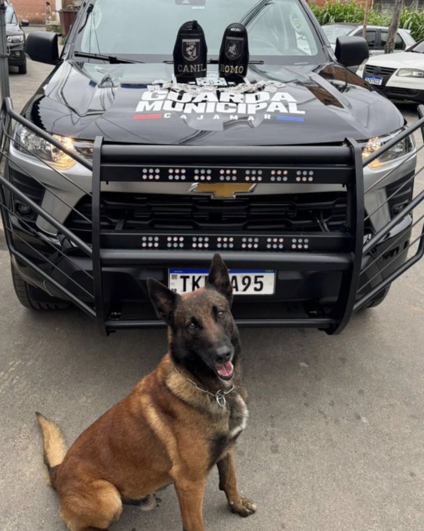 Queda nos roubos e aumento de prisões marcam a segurança em Cajamar em 2025