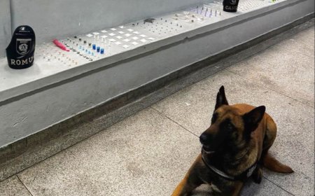 Guarda Municipal intensifica combate ao tráfico e prende dois suspeitos no Polvilho