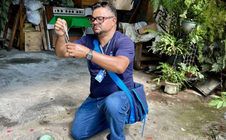 Casos de dengue são monitorados em Cajamar e cidades da região em 2026