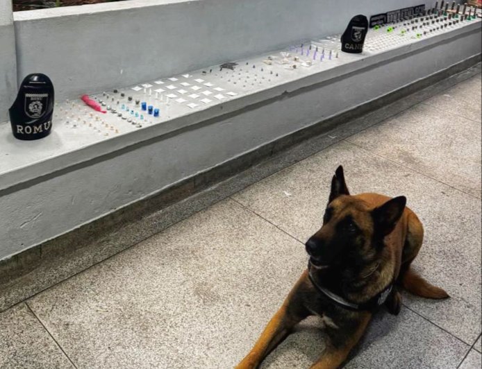 Guarda Municipal intensifica combate ao tráfico e prende dois suspeitos no Polvilho