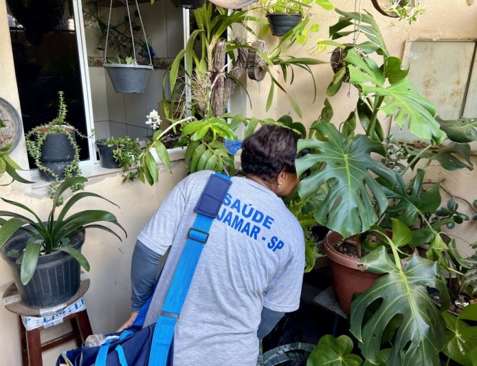 Cajamar registra primeiro caso suspeito de dengue em 2026 e autoridades reforçam alerta à população