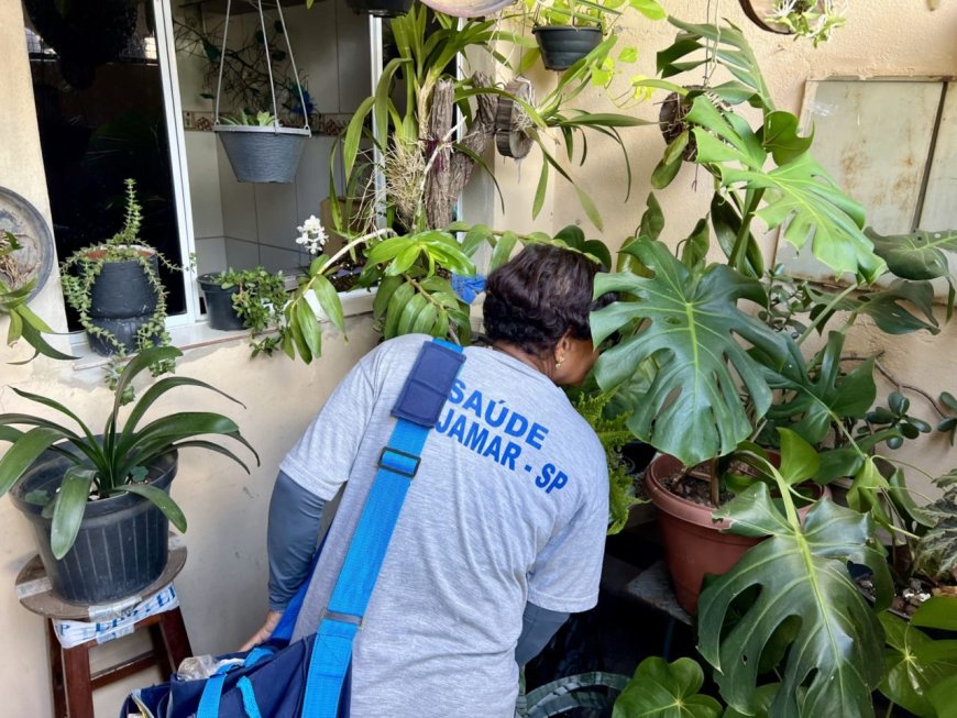 Cajamar registra primeiro caso suspeito de dengue em 2026 e autoridades reforçam alerta à população