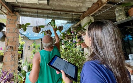 Casos de dengue acendem alerta em Cajamar e cidades do Cimbaju