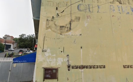 Moradores pedem ação urgente após ataques de marimbondos na rua dos Crisântemos, no Jardim Adelaide no distrito do Polvilho