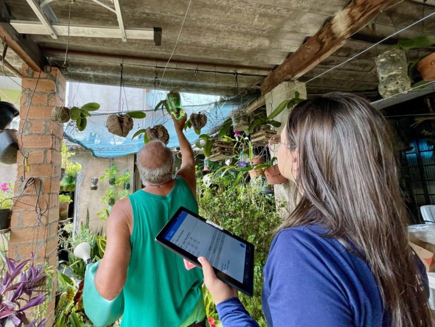 Casos de dengue acendem alerta em Cajamar e cidades do Cimbaju