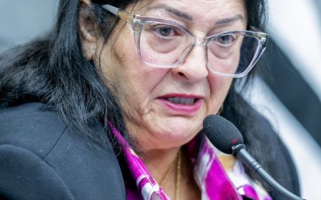 Izelda Carnaúba propõe criação de abrigo municipal para gatos abandonados em Cajamar